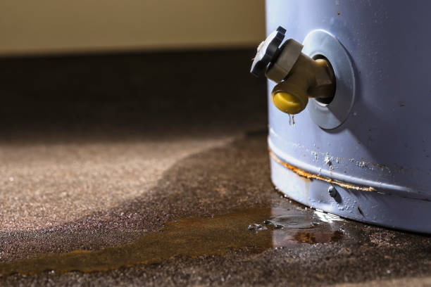 Best Flood restoration services  in South Charleston, OH