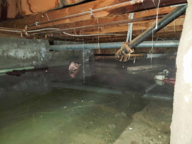 Water damage restoration insurance claims in South Charleston, OH