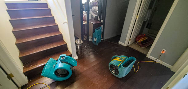 Best Fire Damage Restoration  in South Charleston, OH
