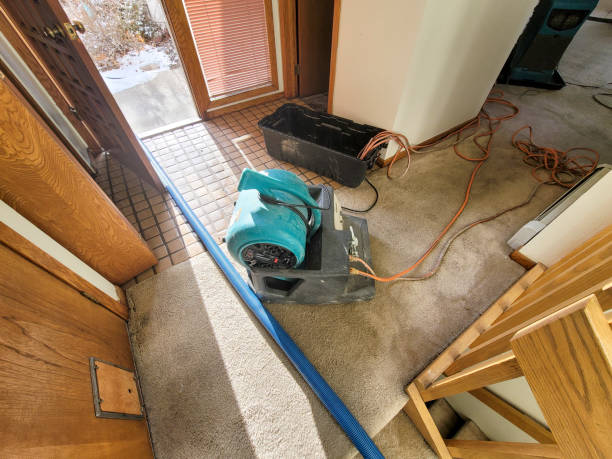 Water damage restoration mold remediation in South Charleston, OH