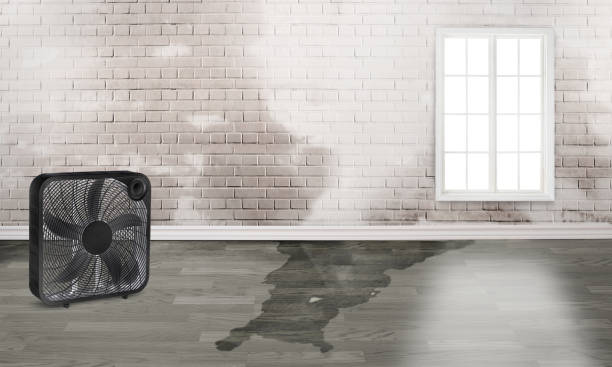 Reliable South Charleston, OH Water damage restoration Solutions