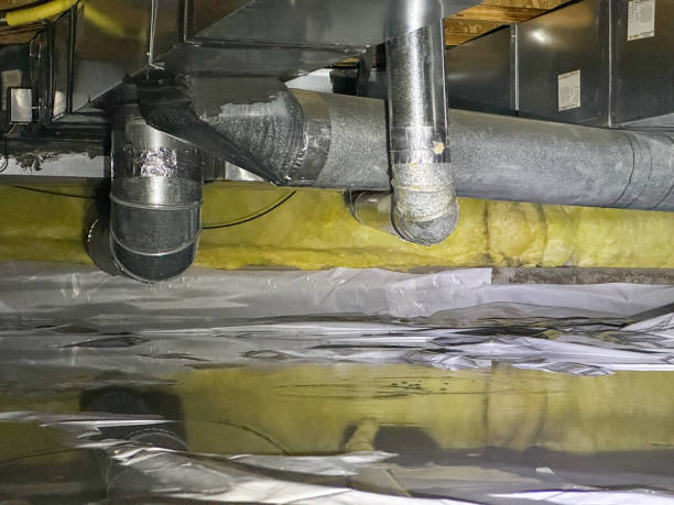 Best Local water damage restoration  in South Charleston, OH